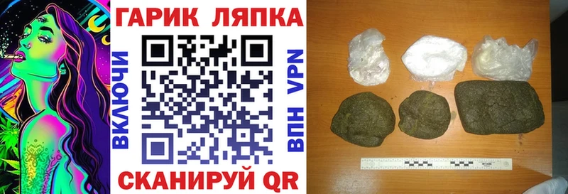 Купить где  Кашин  ГАШ ice o lator 