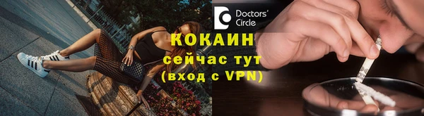 твердый Горняк