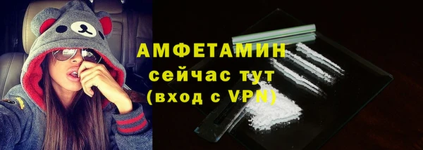 твердый Горняк