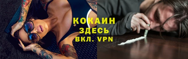 твердый Горняк