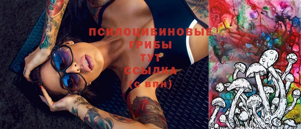 твердый Горняк