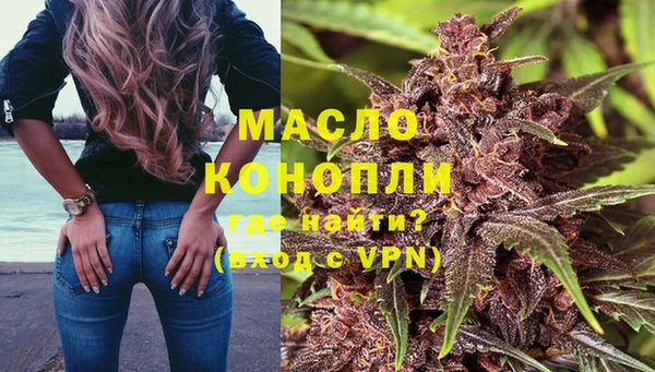 твердый Горняк