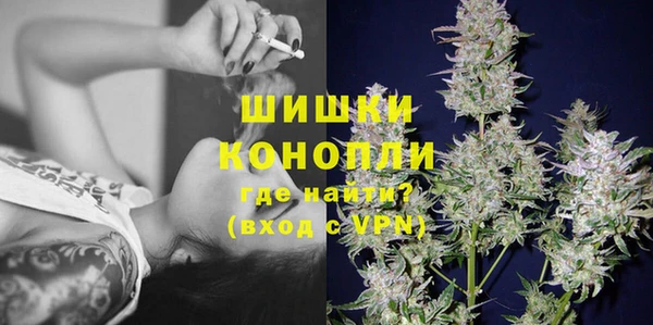 твердый Горняк