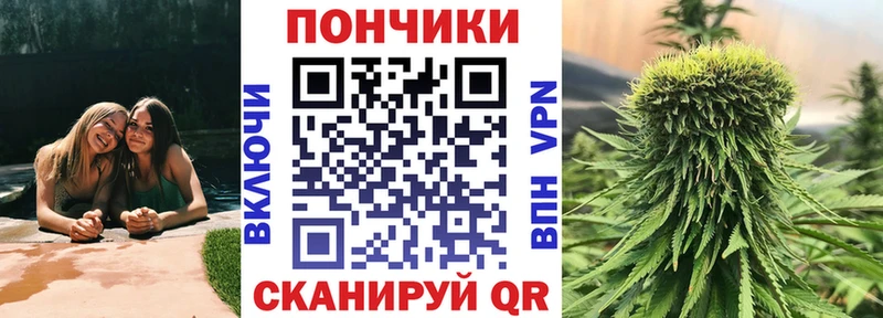 Каннабис SATIVA & INDICA  Купить где  Кашин 